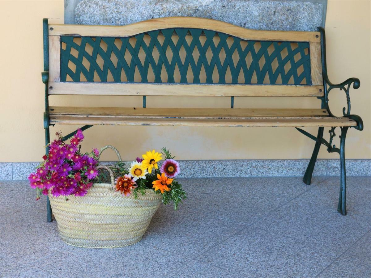 Lovely Sunny-House Viana do Castelo Exterior foto
